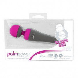 Palmpower Wand massager